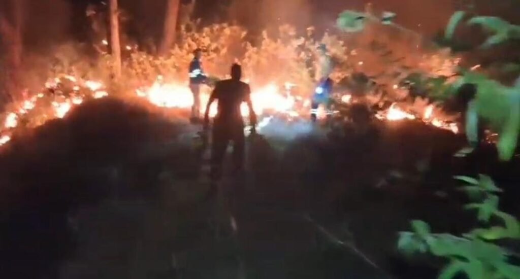 पौड़ी में बढ़ीं जंगलों में आग की घटनाएं, वन विभाग अलर्ट मोड पर